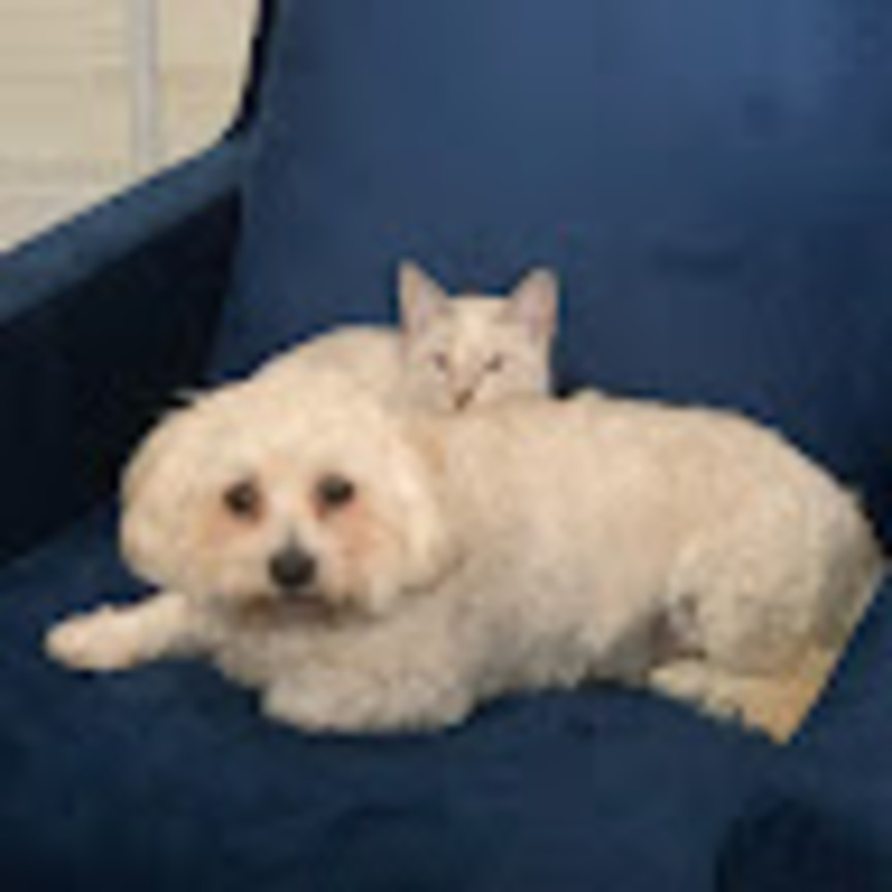 Meet your Posher, Michele